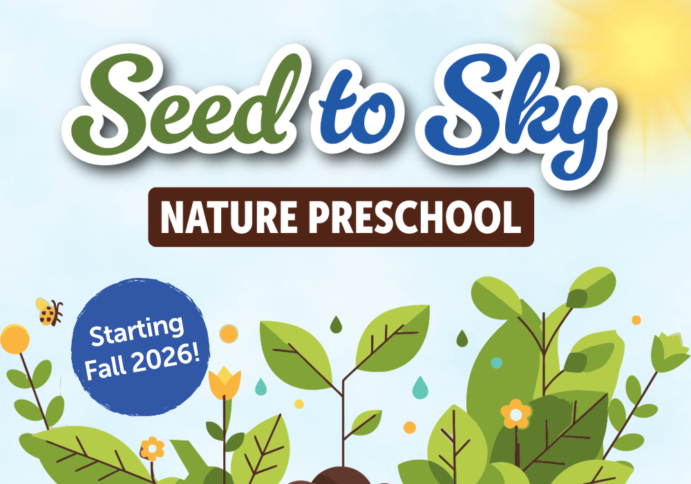 Seed to Sky