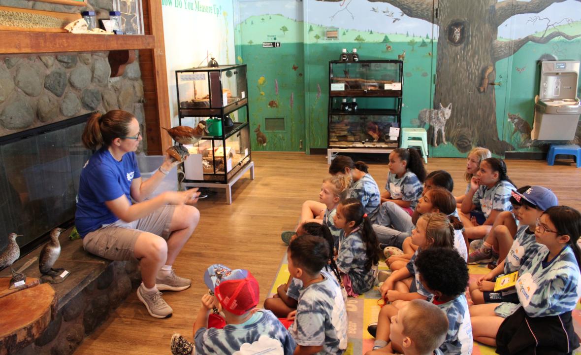 Nature Preschool Group