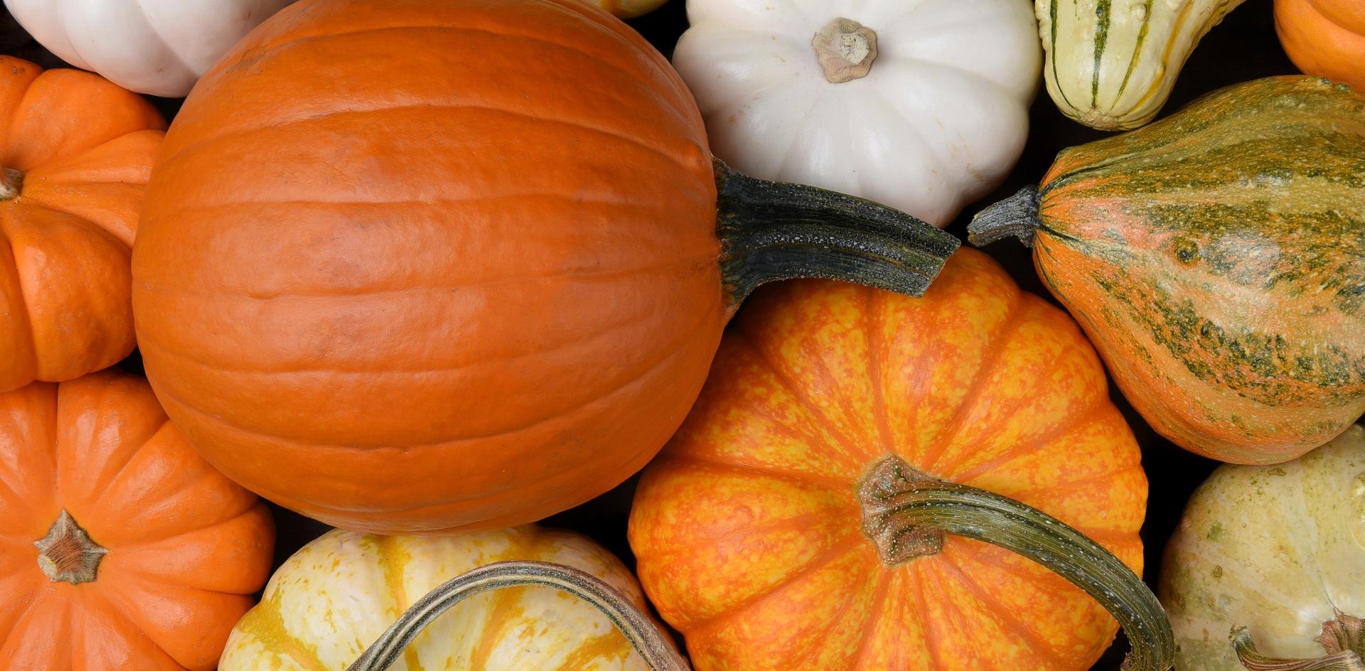 Gourd to Ground