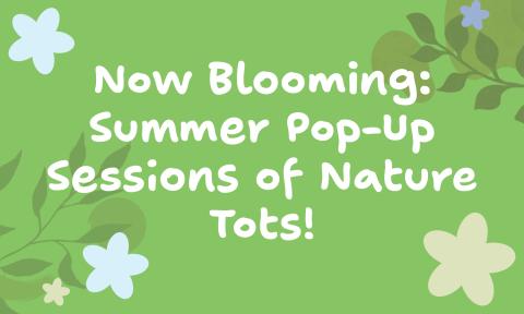 Summer Nature Tots