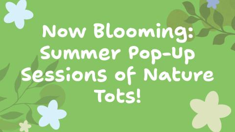 Summer Nature Tots