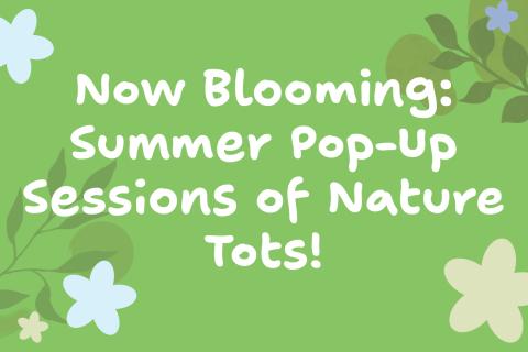 Summer Nature Tots