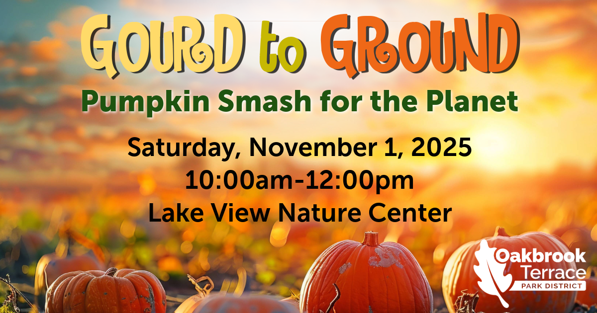Gourd to Ground