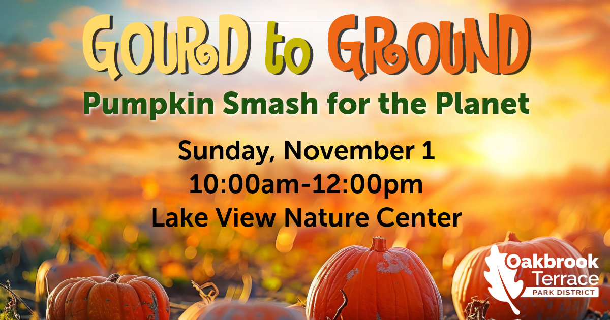 Gourd to Ground