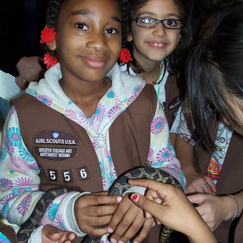 Girl Scout 