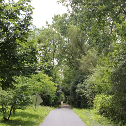 bike path