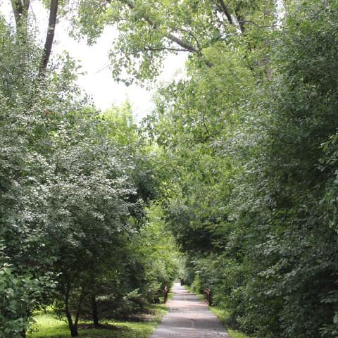bike path 