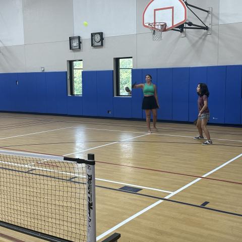 pickleball equipment 