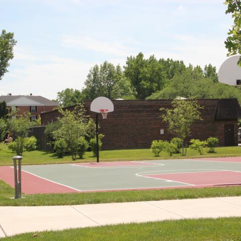 basketball court 