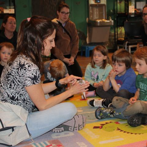 Community Groups