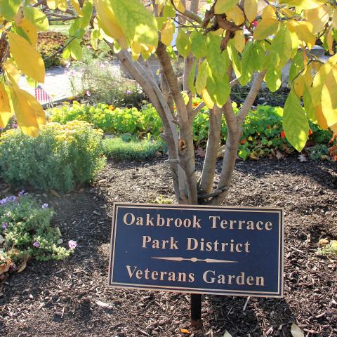 Veteran garden 