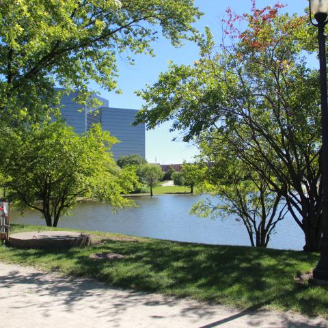 view of pond 