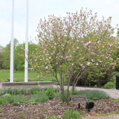 Dorothy Drennon Veterans Garden