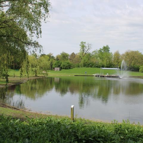 TVP Pond