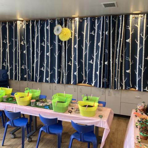 Birthday Parties