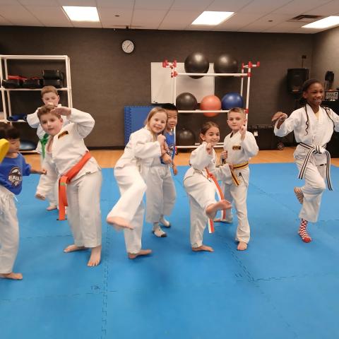 Karate program 