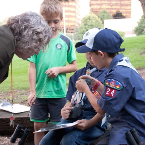 Cub Scout 